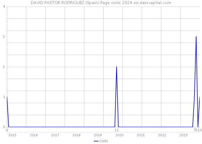DAVID PASTOR RODRIGUEZ (Spain) Page visits 2024 