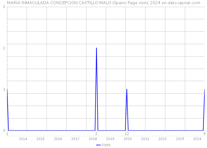 MARIA INMACULADA CONCEPCION CASTILLO MALO (Spain) Page visits 2024 