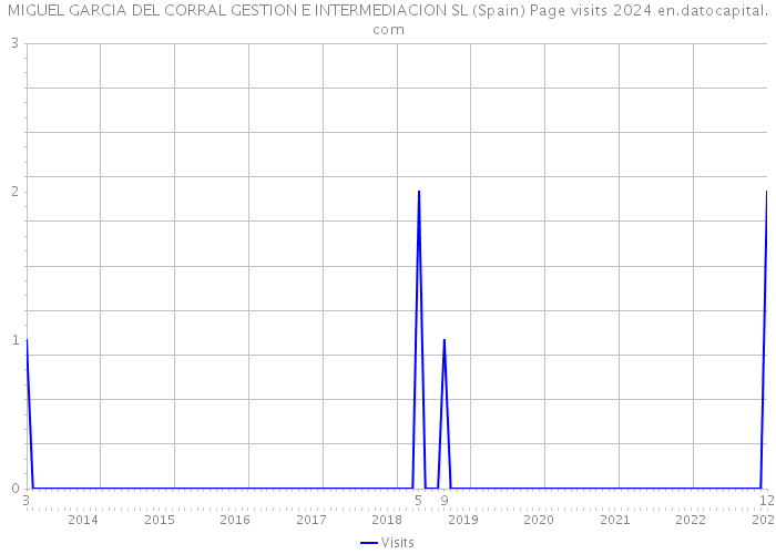 MIGUEL GARCIA DEL CORRAL GESTION E INTERMEDIACION SL (Spain) Page visits 2024 