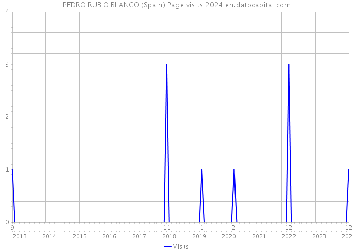 PEDRO RUBIO BLANCO (Spain) Page visits 2024 
