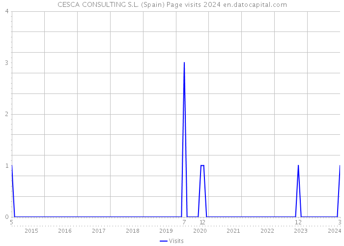 CESCA CONSULTING S.L. (Spain) Page visits 2024 