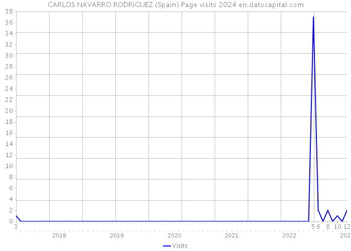 CARLOS NAVARRO RODRIGUEZ (Spain) Page visits 2024 