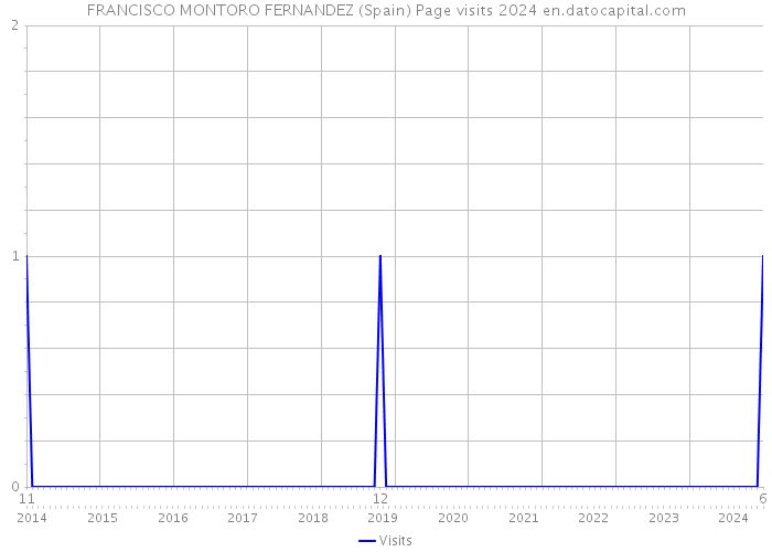FRANCISCO MONTORO FERNANDEZ (Spain) Page visits 2024 