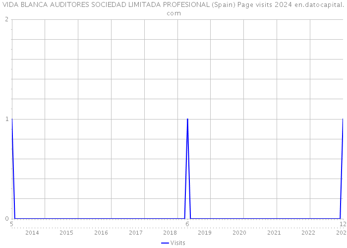 VIDA BLANCA AUDITORES SOCIEDAD LIMITADA PROFESIONAL (Spain) Page visits 2024 