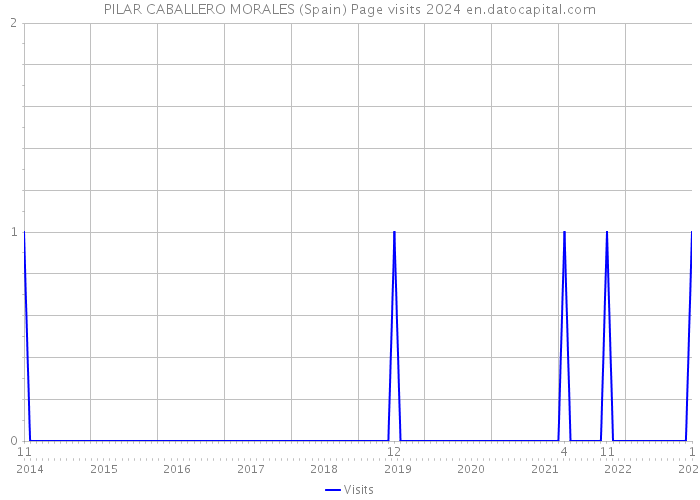 PILAR CABALLERO MORALES (Spain) Page visits 2024 