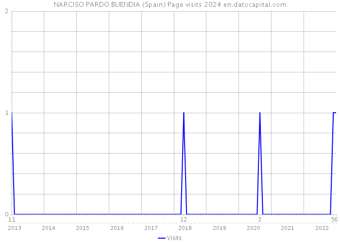 NARCISO PARDO BUENDIA (Spain) Page visits 2024 
