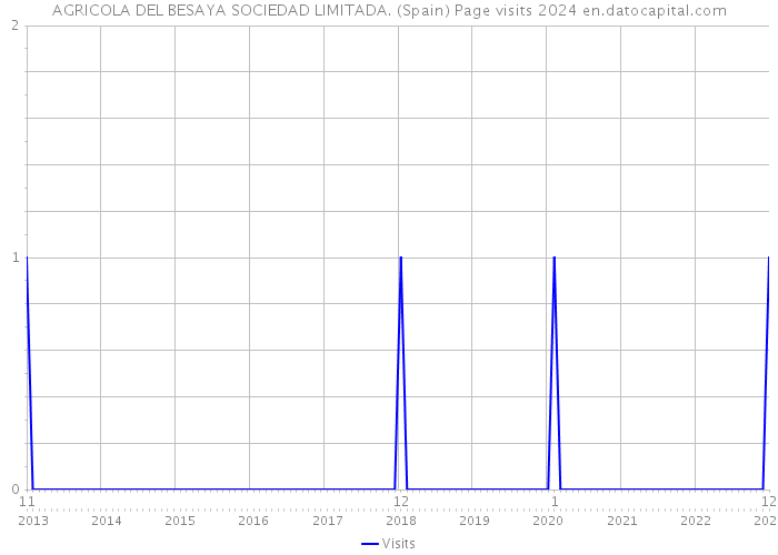 AGRICOLA DEL BESAYA SOCIEDAD LIMITADA. (Spain) Page visits 2024 