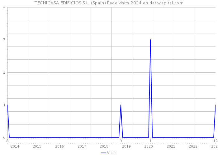 TECNICASA EDIFICIOS S.L. (Spain) Page visits 2024 
