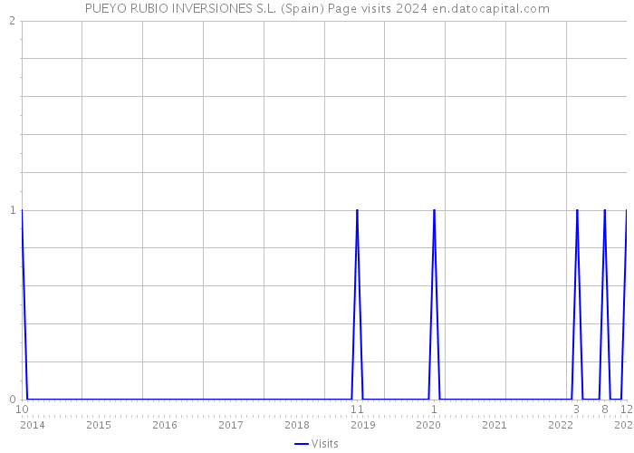 PUEYO RUBIO INVERSIONES S.L. (Spain) Page visits 2024 