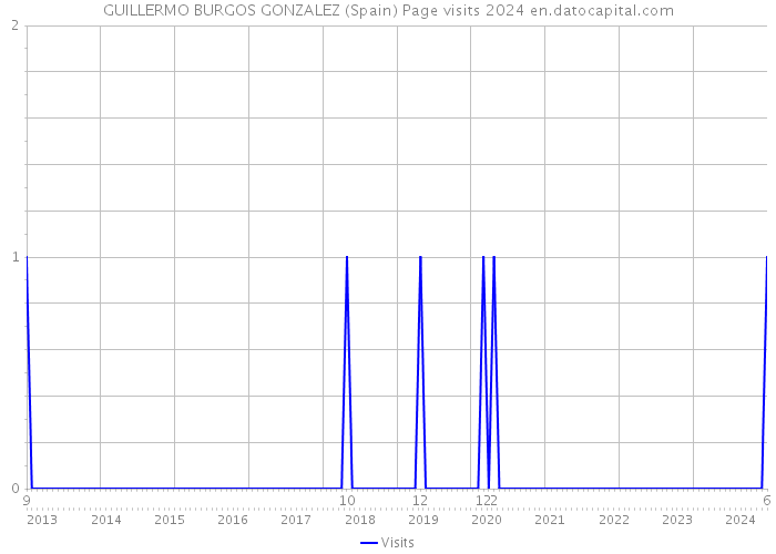 GUILLERMO BURGOS GONZALEZ (Spain) Page visits 2024 