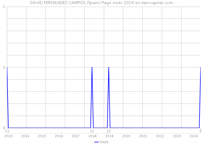 DAVID FERNANDEZ CAMPOS (Spain) Page visits 2024 