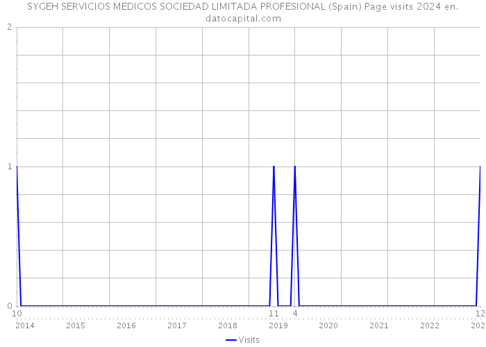SYGEH SERVICIOS MEDICOS SOCIEDAD LIMITADA PROFESIONAL (Spain) Page visits 2024 