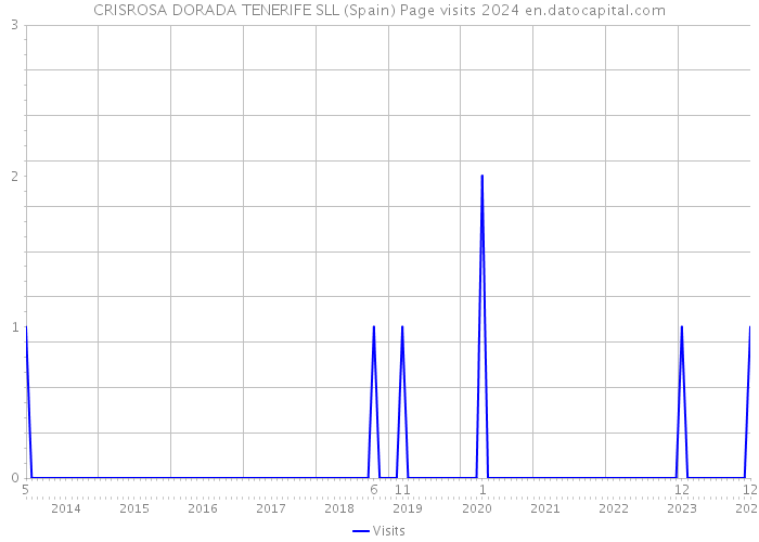 CRISROSA DORADA TENERIFE SLL (Spain) Page visits 2024 