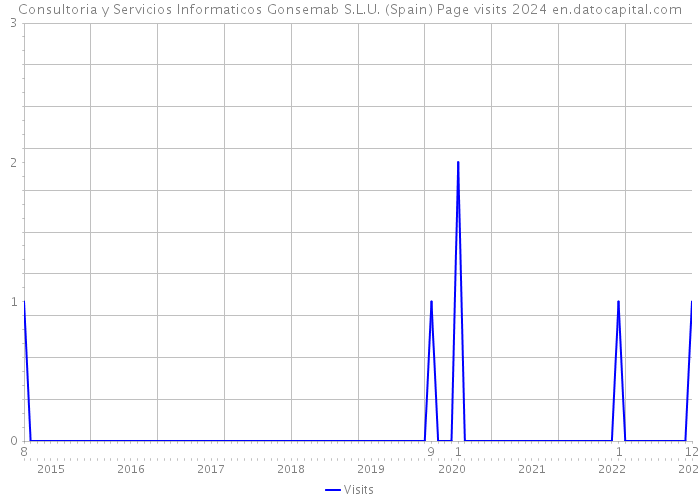 Consultoria y Servicios Informaticos Gonsemab S.L.U. (Spain) Page visits 2024 