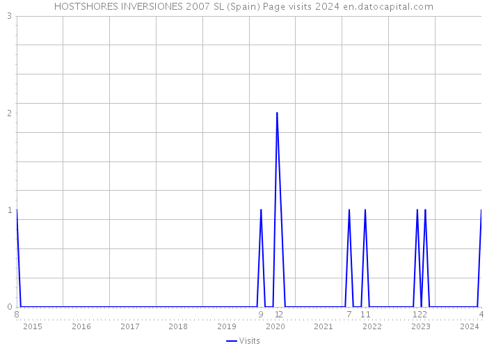 HOSTSHORES INVERSIONES 2007 SL (Spain) Page visits 2024 