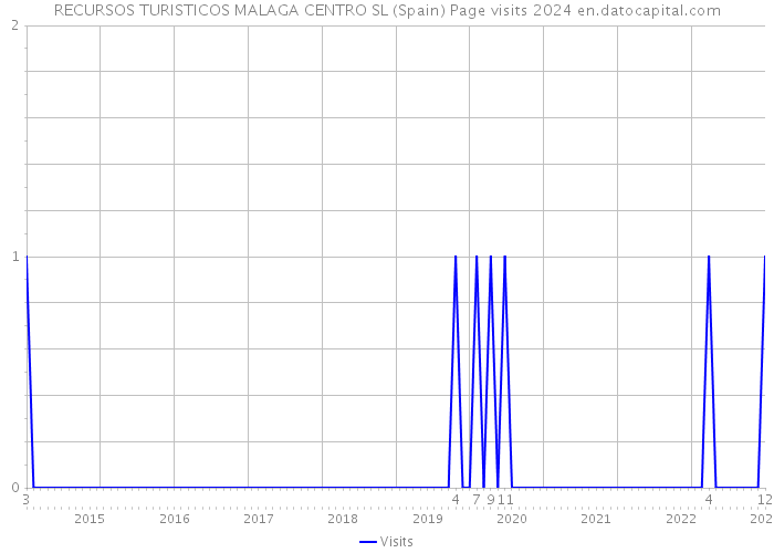 RECURSOS TURISTICOS MALAGA CENTRO SL (Spain) Page visits 2024 