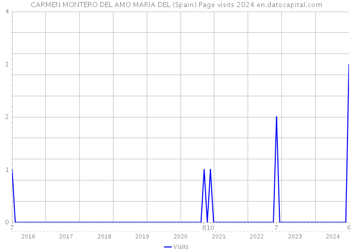 CARMEN MONTERO DEL AMO MARIA DEL (Spain) Page visits 2024 