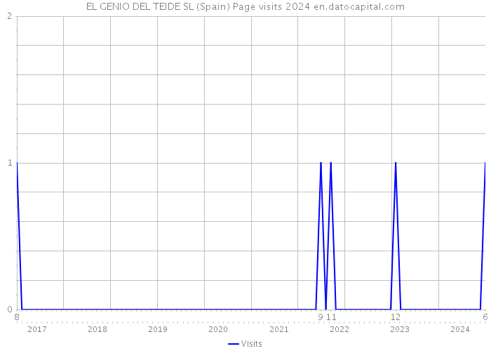 EL GENIO DEL TEIDE SL (Spain) Page visits 2024 