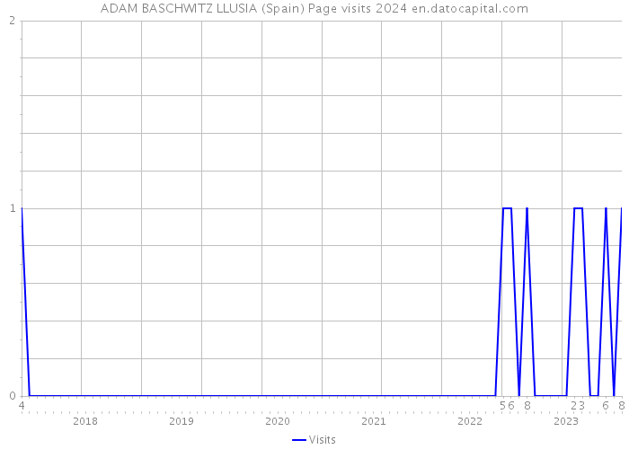 ADAM BASCHWITZ LLUSIA (Spain) Page visits 2024 