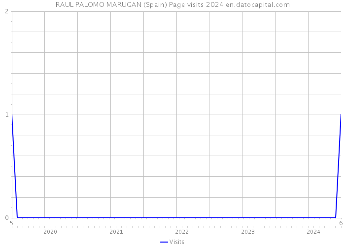 RAUL PALOMO MARUGAN (Spain) Page visits 2024 