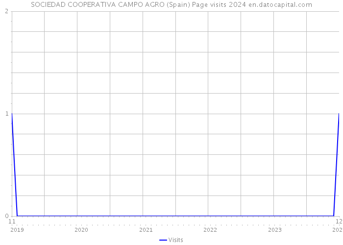 SOCIEDAD COOPERATIVA CAMPO AGRO (Spain) Page visits 2024 