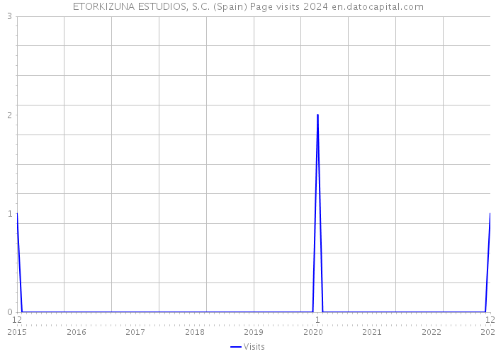 ETORKIZUNA ESTUDIOS, S.C. (Spain) Page visits 2024 