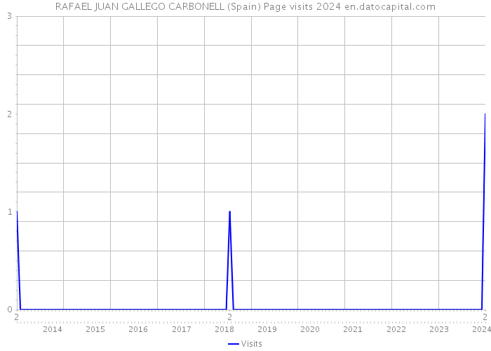 RAFAEL JUAN GALLEGO CARBONELL (Spain) Page visits 2024 