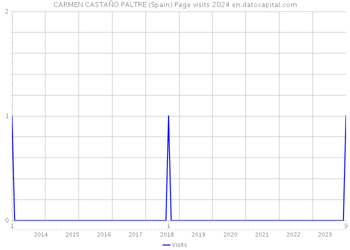 CARMEN CASTAÑO PALTRE (Spain) Page visits 2024 
