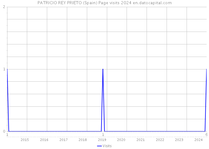 PATRICIO REY PRIETO (Spain) Page visits 2024 