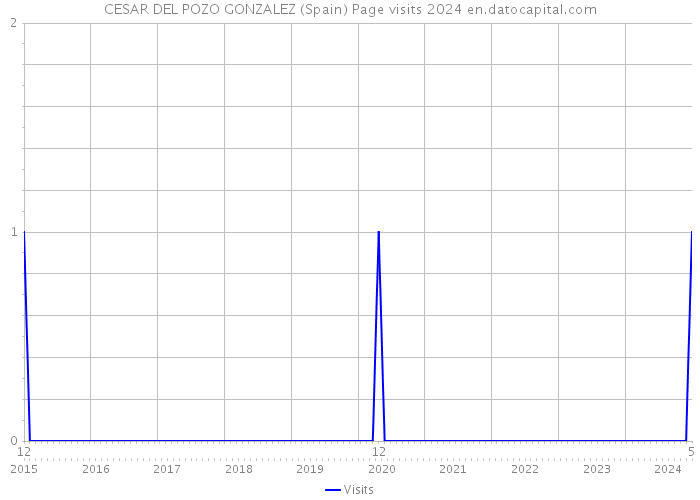 CESAR DEL POZO GONZALEZ (Spain) Page visits 2024 