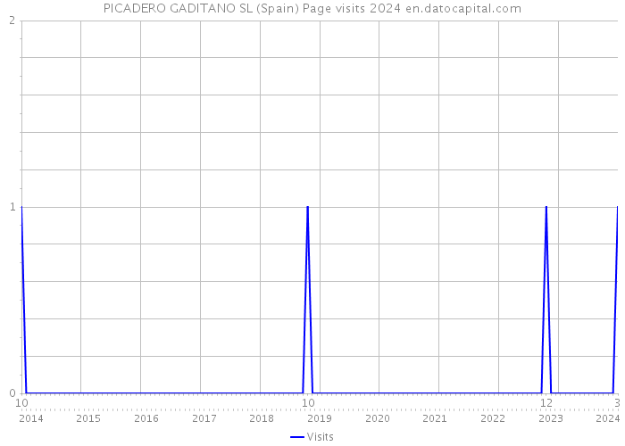 PICADERO GADITANO SL (Spain) Page visits 2024 