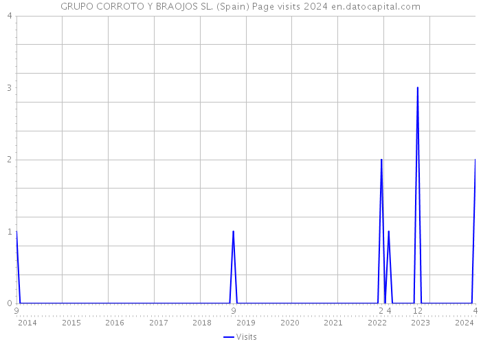 GRUPO CORROTO Y BRAOJOS SL. (Spain) Page visits 2024 