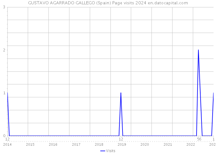 GUSTAVO AGARRADO GALLEGO (Spain) Page visits 2024 