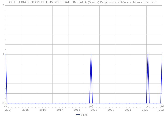 HOSTELERIA RINCON DE LUIS SOCIEDAD LIMITADA (Spain) Page visits 2024 