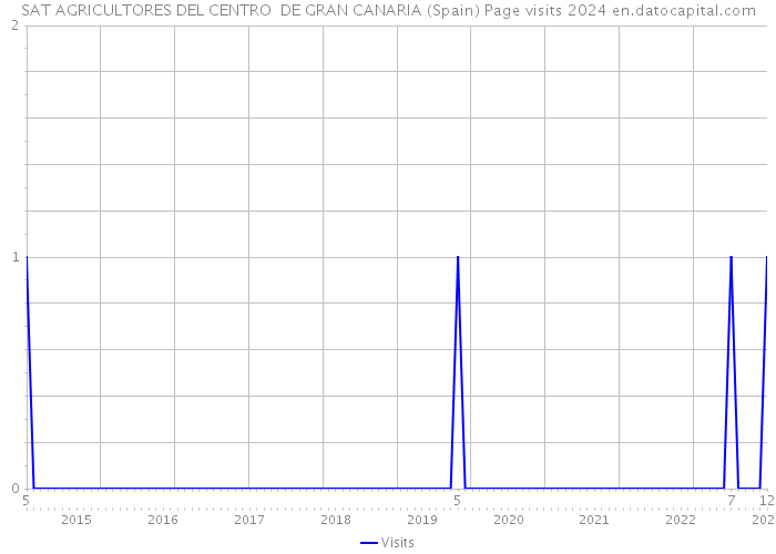 SAT AGRICULTORES DEL CENTRO DE GRAN CANARIA (Spain) Page visits 2024 