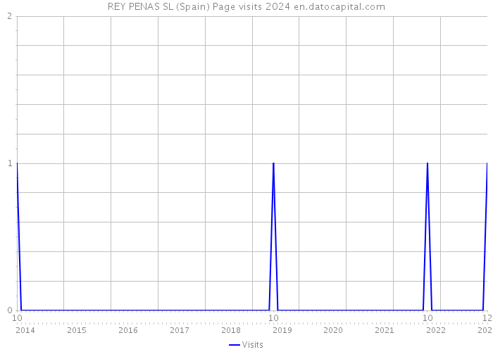 REY PENAS SL (Spain) Page visits 2024 