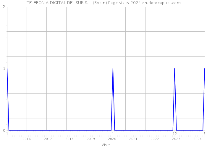 TELEFONIA DIGITAL DEL SUR S.L. (Spain) Page visits 2024 