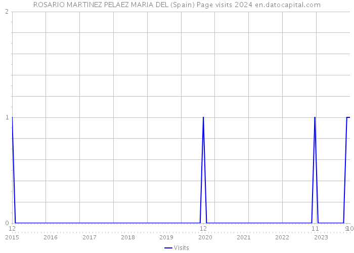 ROSARIO MARTINEZ PELAEZ MARIA DEL (Spain) Page visits 2024 