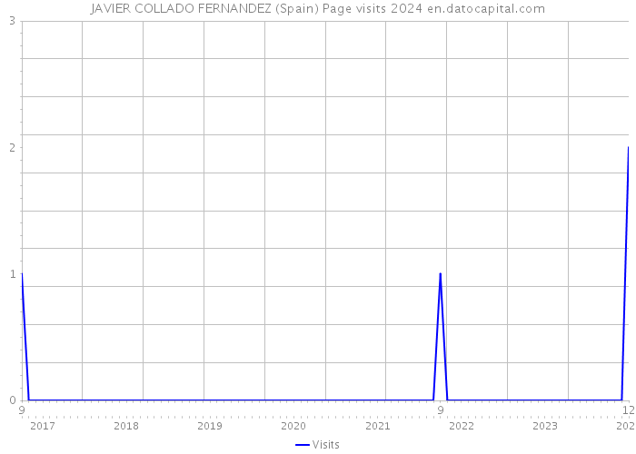 JAVIER COLLADO FERNANDEZ (Spain) Page visits 2024 