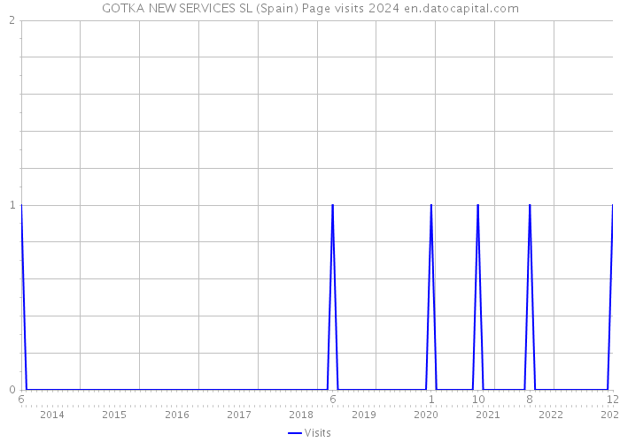 GOTKA NEW SERVICES SL (Spain) Page visits 2024 