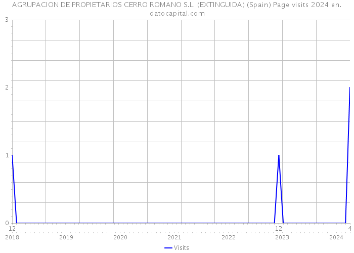 AGRUPACION DE PROPIETARIOS CERRO ROMANO S.L. (EXTINGUIDA) (Spain) Page visits 2024 