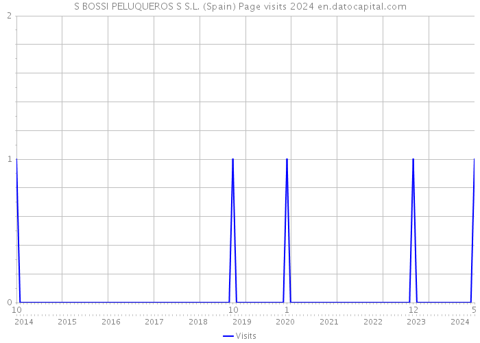 S BOSSI PELUQUEROS S S.L. (Spain) Page visits 2024 