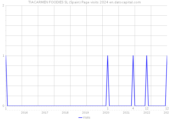 TIACARMEN FOODIES SL (Spain) Page visits 2024 