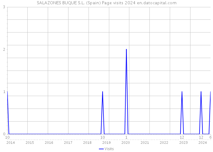 SALAZONES BUQUE S.L. (Spain) Page visits 2024 