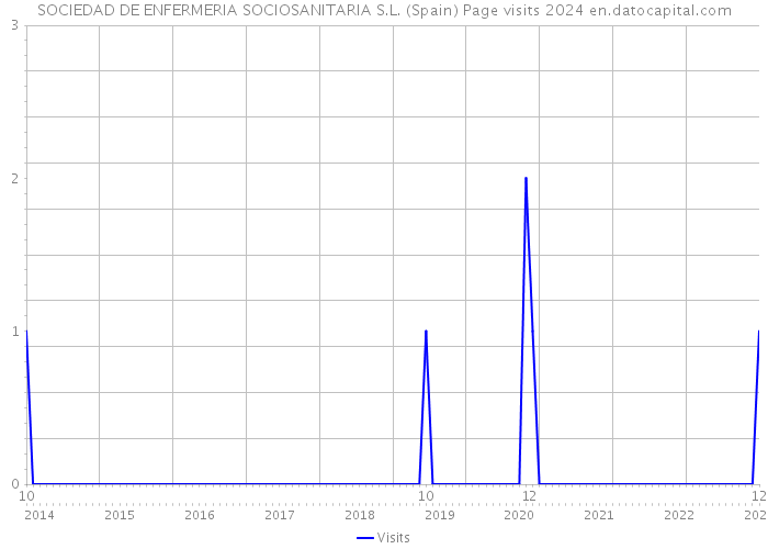 SOCIEDAD DE ENFERMERIA SOCIOSANITARIA S.L. (Spain) Page visits 2024 