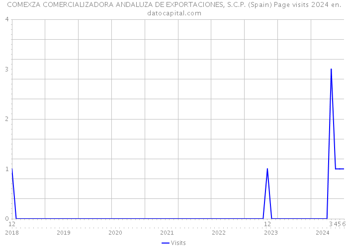 COMEXZA COMERCIALIZADORA ANDALUZA DE EXPORTACIONES, S.C.P. (Spain) Page visits 2024 