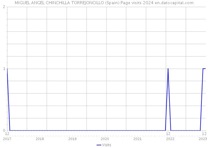 MIGUEL ANGEL CHINCHILLA TORREJONCILLO (Spain) Page visits 2024 