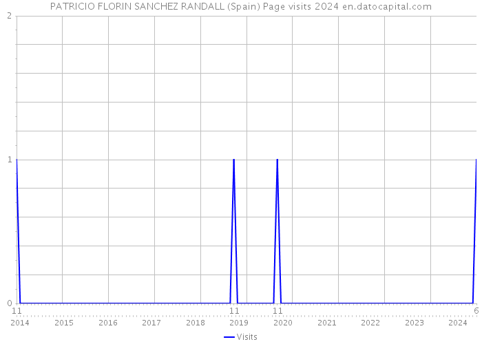 PATRICIO FLORIN SANCHEZ RANDALL (Spain) Page visits 2024 