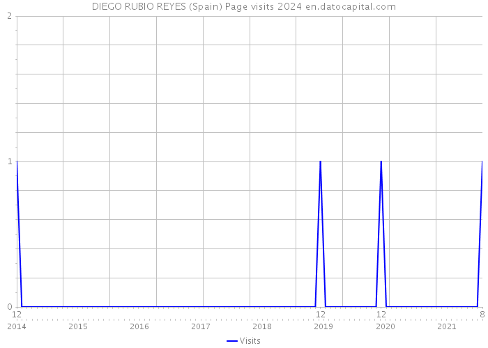 DIEGO RUBIO REYES (Spain) Page visits 2024 
