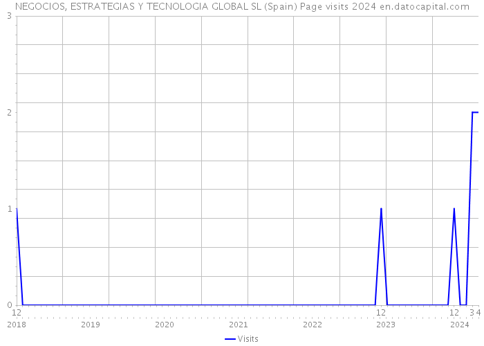 NEGOCIOS, ESTRATEGIAS Y TECNOLOGIA GLOBAL SL (Spain) Page visits 2024 